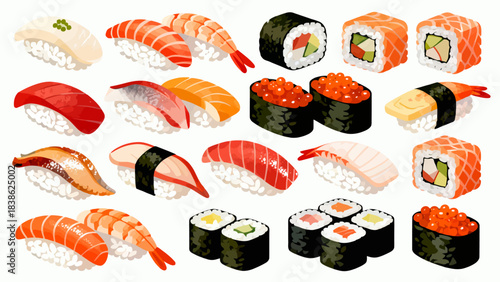 This vibrant illustration displays a variety of Japanese sushi (including nigiri, maki rolls, and tobiko-topped pieces) arranged neatly, featuring fresh ingredients like salmon, avocado