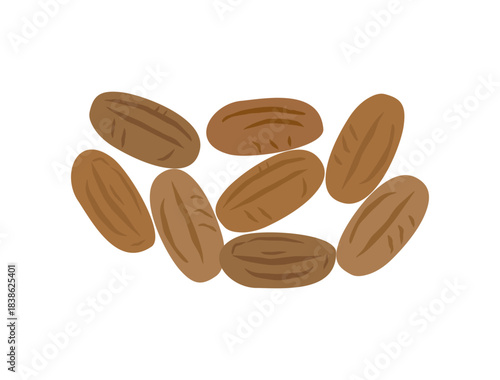 カカオ豆をイメージしたイラスト