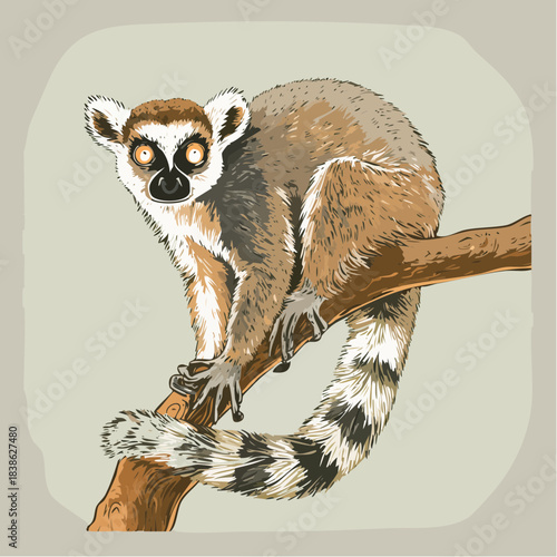 Lemur on tree. A vector-based depiction of a Lemur catta on a branch, emphasizing anatomical detail and ocular expression.