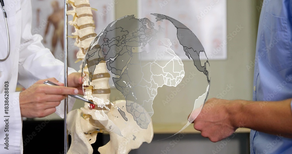 Naklejka premium Pointing doctor in lab coat with stethoscope indicating vertebra on spine model in clinic, globe