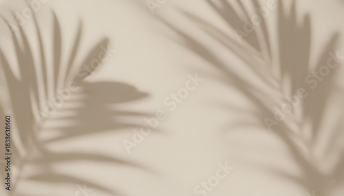 Palm Leaf Shadow Background