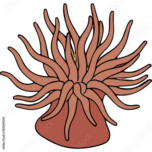 Illustration of a colorful coral anemone with numerous flowing tentacles and a prominent central oral disc against a stark black background vibrant aquatic marine life detail