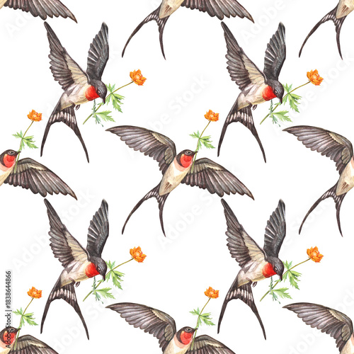 Watercolor seamless pattern with swift flying swallow with orange flower in sky on white background. Spring and summer bird for card or wedding celebration invite. Sketchbook or wallpaper or wrapping