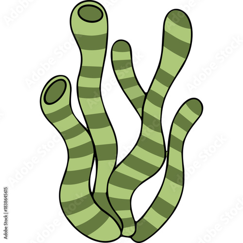 Illustration of stylized green striped sea kelp or algae against a black background simple vector art aquatic plant life ocean floor flora