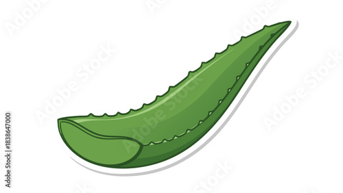A Single Green Aloe Vera Leaf Isolated on a Black Background Detailed Close Up of Succulent Plant with Serrated Edges Healthy Herbal Ingredient for Skincare and Medicine