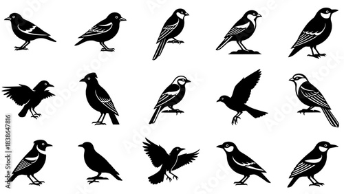 A captivating collection of diverse bird silhouettes in various poses and styles for design projects