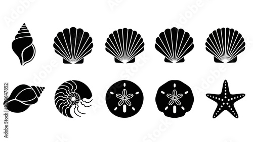 A collection of diverse black and white marine life silhouettes and seashell icons perfect for