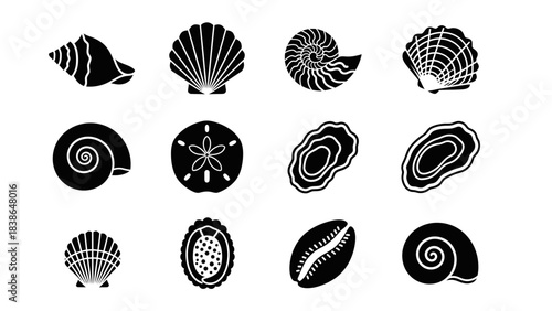 A comprehensive vector collection of twelve distinct black and white sea shell and marine life