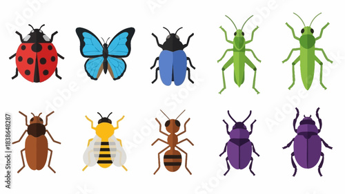 A vibrant collection of various insects depicted in a modern flat design style illustration