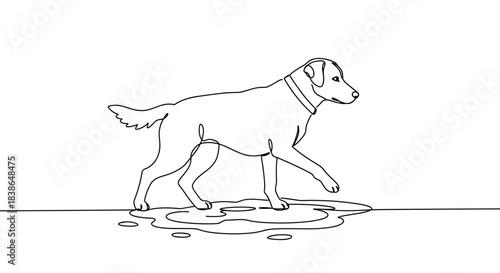 Line drawing of a Labrador Retriever dog walking on a water surface with gentle waves, showcasing a playful attitude and a clear silhouette on a transparent background