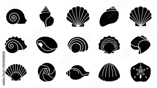 Collection of diverse black silhouette seashell and sea life icons against a clean white