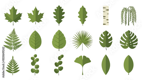 Diverse collection of green leaves and botanical elements representing nature's vibrant foliage