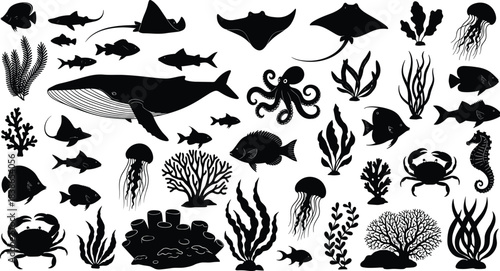 Large set of underwater sea life silhouettes; whale, fish, manta ray, octopus, jellyfish, coral, and seaweed vector collection.