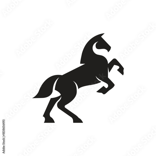 silhouette of luxury horse lift both front legs