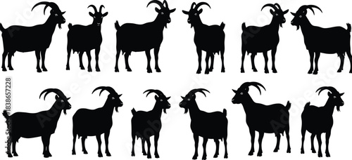 High-Quality Vector Illustration Set of Different Goat Silhouettes, Farm and Domestic Animals, Collection of Livestock for Logo, Icon, Butchery, or Design Elements, Black Shapes Isolated.