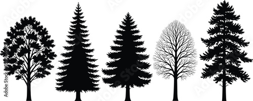 Diverse Tree Silhouettes Vector Illustration Set Deciduous Coniferous Pine Evergreen and Bare Oak Forest Elements Collection Black and White Graphic Design