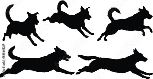 Dog silhouette, running and leaping pose, black vector art, canine motion, energetic posture, animal agility, pet activity, dynamic movement, outdoor design
