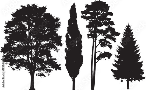 Realistic tree silhouette set. Detailed oak, italian cypress, tall pine, and spruce fir forest nature vector collection.