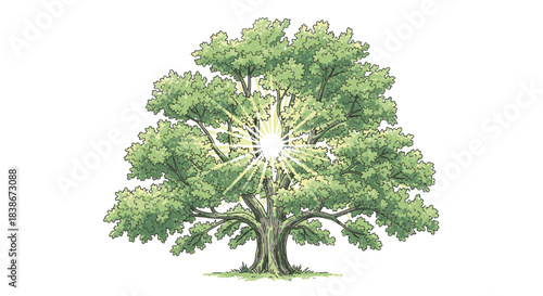 A beautifully illustrated, mature tree with a dense green canopy emits a brilliant, radiant light from its trunk, symbolizing life, growth, and natural energy.