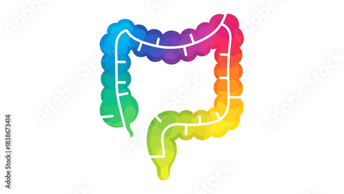 Anatomy of the Large Intestine: A vibrant illustration showcases the human colon, colored to represent health and vitality, offering a visually engaging and educational experience.