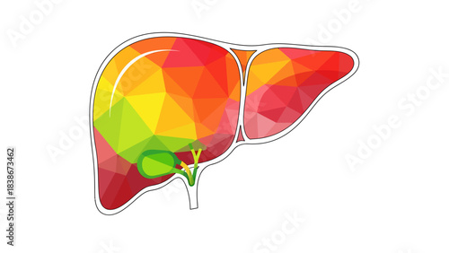 Liver's Colorful Mosaic: This image showcases a vibrant and intricate mosaic representation of the liver, highlighting its vital role in human health.
