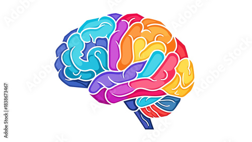 Brain Illustration of the Human Mind: A vibrant illustration showcasing the intricate complexity of the human brain, segmented into various color-coded regions.