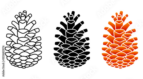 Three styles of pine cone outline, silhouette, and colored vector illustration