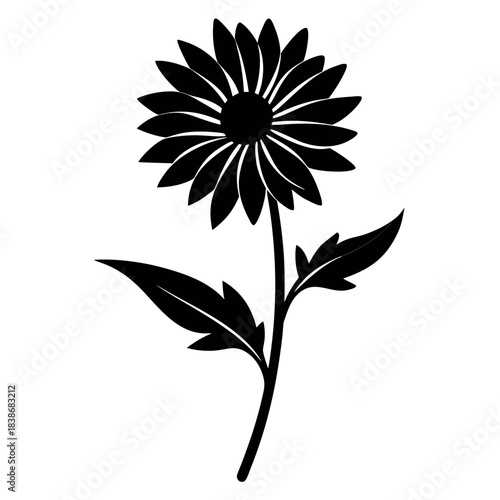 black and white flower