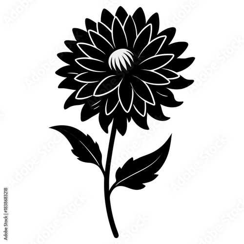 aster flower silhouette on white background