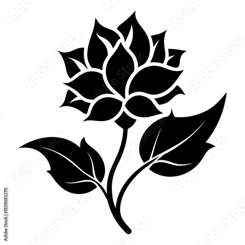 silhouette of a flower