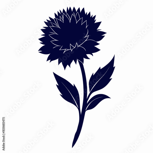 Wallpaper Mural vector illustration of a mountain cornflower flower on white background Torontodigital.ca
