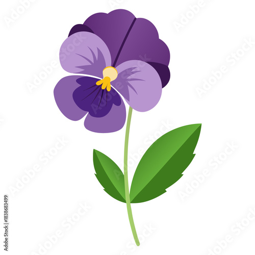 pansy flower with branch on white background