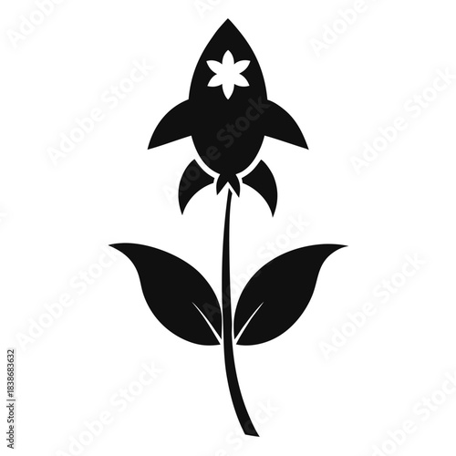 sweet rocket flower silhouette on white background