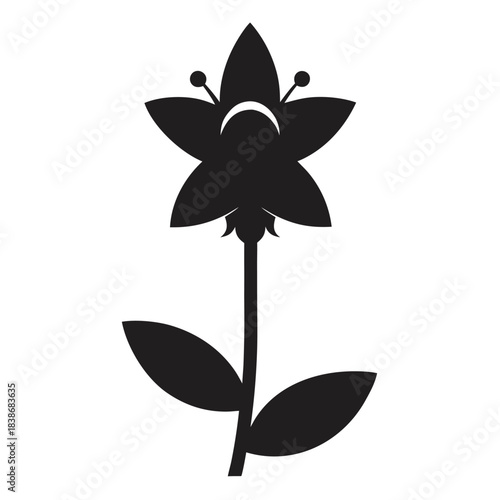 vector illustration of sweet rocket flower silhouette on white background