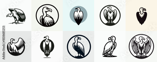 vector illustration set of cartoon vultures on white background
