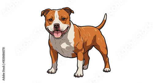 A friendly and happy American Staffordshire Terrier dog, depicted in a charming cartoon vector illustration style, stands isolated on a clean white background.