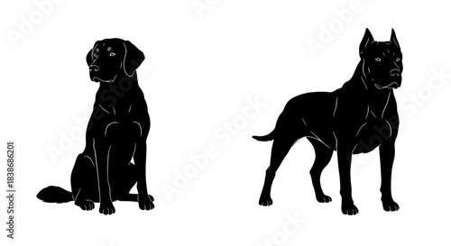Two distinct black dog silhouettes, a sitting Labrador and a standing powerful breed, are isolated on a clean white background for graphic design.