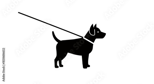 A sleek black silhouette of a domestic dog wearing a collar and leash, presented as a clean graphic vector illustration on a pure white background.