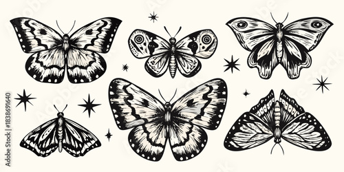 A vintage collection of beautifully detailed butterfly and moth illustrations