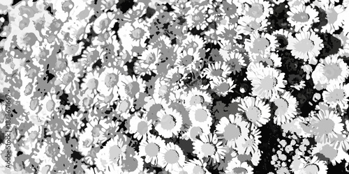 A dense field of monochrome daisy like flowers fills the entire frame