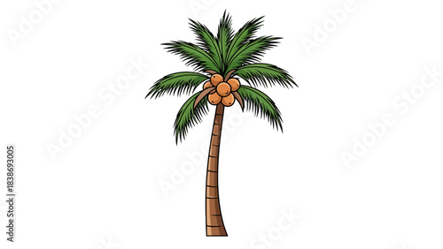 Cartoon drawing of a coconut palm tree with green fronds and brown coconuts