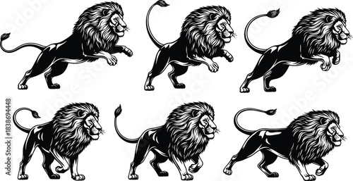  Furious lion silhouette set, black and white vector illustration collection of jumping and walking wild cats for mascot logo design.