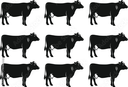 Set of cow silhouettes standing side view, farm animal livestock collection, black isolated on white, cad drawing flat vector illustration.