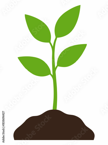 Illustration of young green plant seedlings growing in the soil