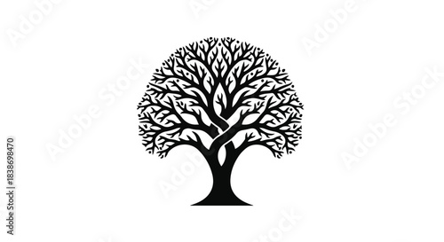 Stylized silhouette of a large tree with intricate branches against a white background