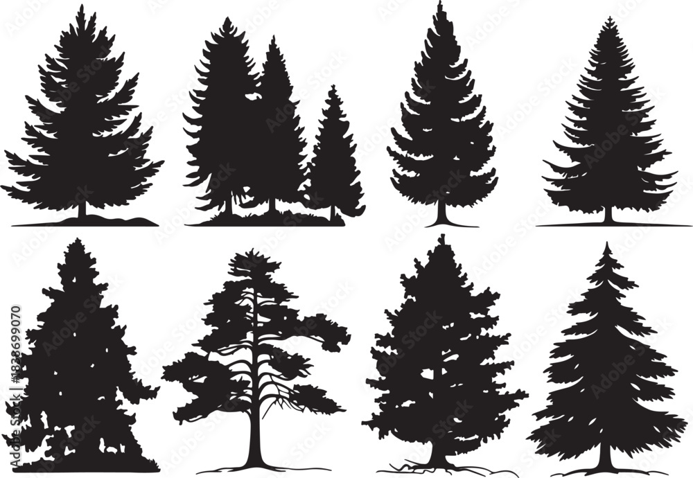 Obraz premium Set of Fir trees in silhouettes