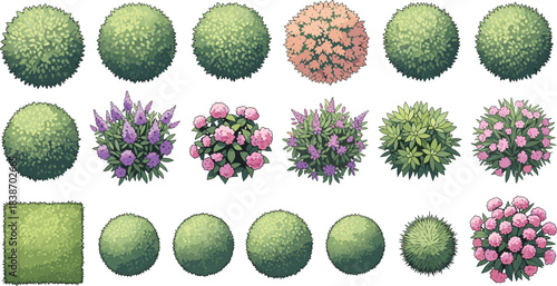 Top view garden bushes, shrubs, hedges, foliage plants, landscaping elements, floral greenery, decorative vegetation for outdoor design and planning.