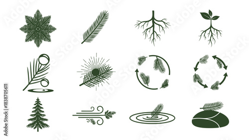 Set of twelve green nature-themed vector icons illustrating plants, feathers, roots, and ecological concepts.