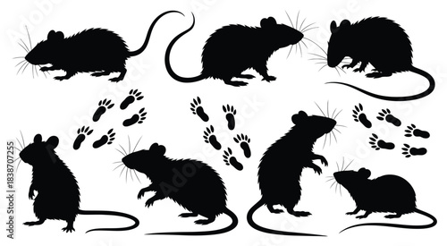 Black Rat Silhouettes, featuring various poses and paw prints, perfect for Halloween, pest control, educational, and creative design