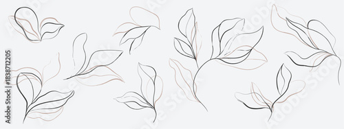 Modern abstract botanical line art featuring large, flowing leaves drawn with layered outlines in dark charcoal and pink-beige for a contemporary, multi-toned effect
